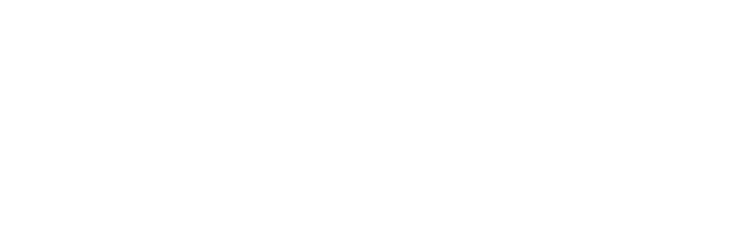 Logo-IAOA